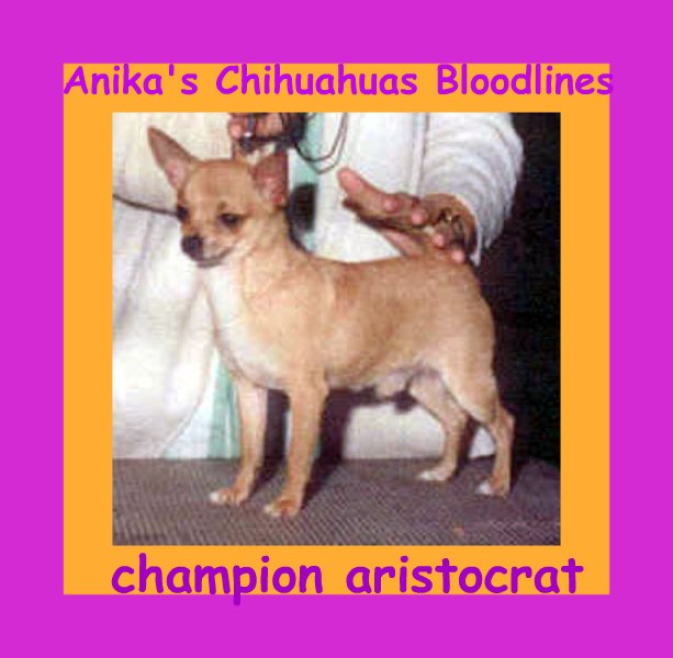 ch-anikas-feliz-magic-aristocrat
